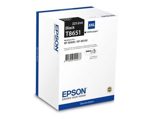 Epson Ink Cartridge Black 10K