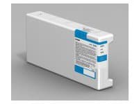 Epson Enpack rengöringspatron T699000