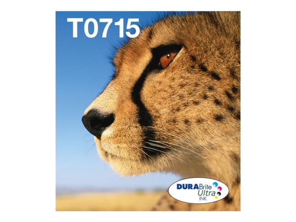 Epson T071 Easy Mail Packaging - 4-pack - 23.9 ml - svart, gul, cyan, magenta - original - boks - blekkpatron - for Stylus DX9400, SX115, SX210, SX21