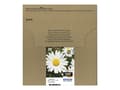 Miniatyrbild 5 av 5: Epson T1806 Easy Mail Packaging - 4-pack - 15.1 ml - svart, gul, cyan, magenta - original - box - bläckpatron - för Expression Home XP-212, 215, 225,