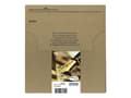 Miniatyrbild 3 av 5: Epson 16 Multipack Easy Mail Packaging - 4-pack - svart, gul, cyan, magenta - original - box - bläckpatron - för WorkForce WF-2010, 2510, 2520, 2530,