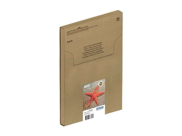 Epson Multipack 4-colours 603 EasyMail