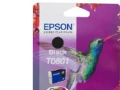 Epson T0801 - Svart - original - blære med RF/lyd-alarm - blekkpatron - for Stylus Photo P50, PX650, PX660, PX700, PX710, PX720, PX730, PX800, PX810,