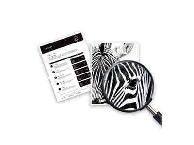 HP 951XL - Høy ytelse - gul - original - blekkpatron - for Officejet Pro 251dw, 276dw, 8100, 8600, 8600 N911a, 8610, 8615, 8620, 8625, 8630