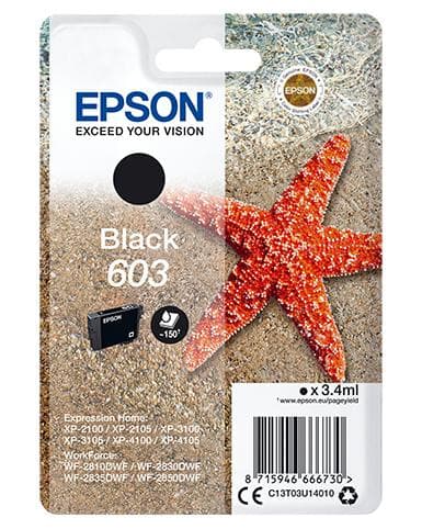 Epson Single Pack Black 603 Ink