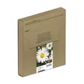 Miniatyrbild 3 av 5: Epson T1806 Easy Mail-förpackning - 4 - 15,1 ml - svart, gul, cyan, magenta - original - kartong - bläckpatron - för Expression Home XP-212, 215, 225,