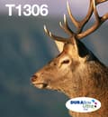 Miniatyrbillede 1 af 5: Epson T1306 - Blækpatron / Multipack / Farve