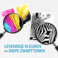 Miniatyrbild 10 av 11: HP 912 (6ZC74AE) bläckpatron MultiPack BCMY (NO XL)