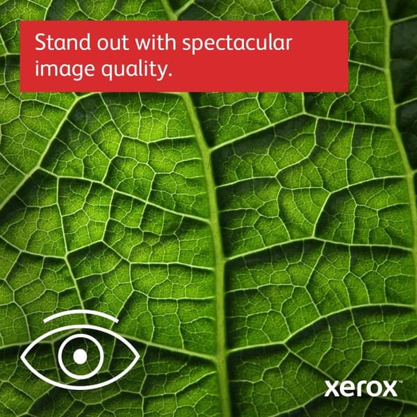 Xerox C310V_DNI - skrivare - färg - duplex - laser - A4/Legal - 1200 x 1200 dpi - upp till 33 sidor/min. (monokrom)/upp till 33 sidor/min. (färg) - Ka