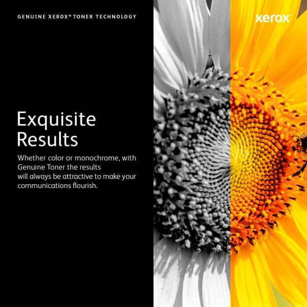XEROX 106R02311 - Tonerpatron / Sort / Standard kapacitet
