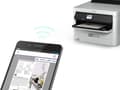 Miniatyrbild 6 av 8: Epson - XXL-format - svart - original - bläckpaket - för WorkForce Pro WF-C529R, WF-C529RDTW, WF-C579R, WF-C579RD2TWF, WF-C579RDTWF
