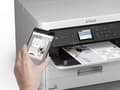 Miniatyrbild 8 av 8: Epson - XXL-format - svart - original - bläckpaket - för WorkForce Pro WF-C529R, WF-C529RDTW, WF-C579R, WF-C579RD2TWF, WF-C579RDTWF