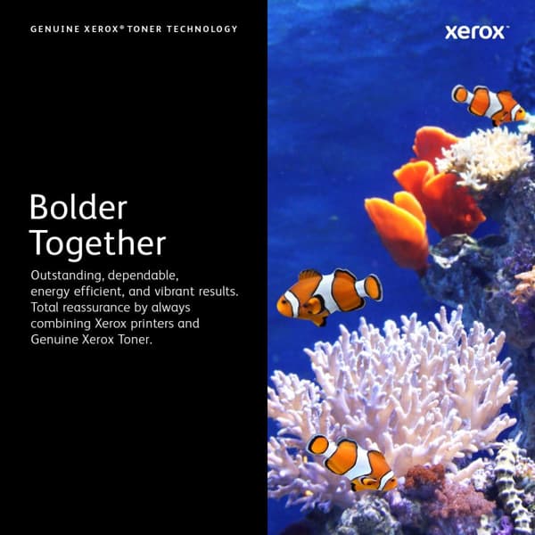 Xerox - 106R03529 - Toner gul