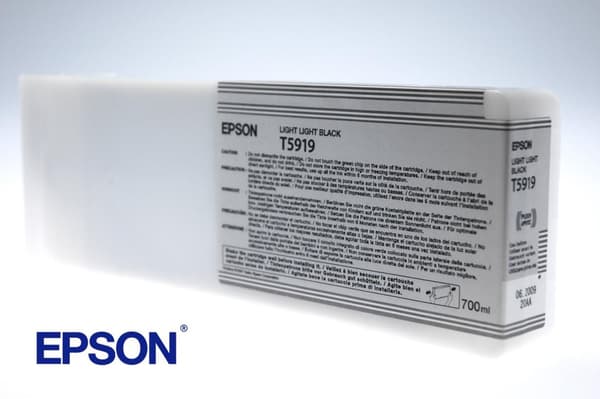 Epson T5919 - Skrivarkassett - 1 x Ljus Ljussvart - för Stylus Pro 11880, Pro 11880 AGFA, Pro 11880 Xerox (C13T591900)