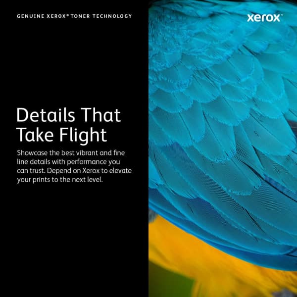 XEROX 113R00721 ​​- Tonerpatron / Gul / Standard kapacitet