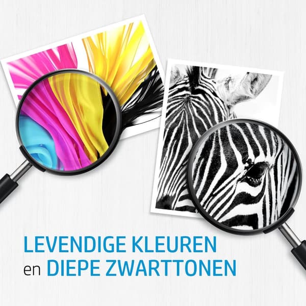 HP 913A – PageWide mustepatruuna / keltainen (F6T79AE)