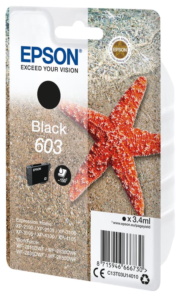 Epson Single Pack Black 603 Ink