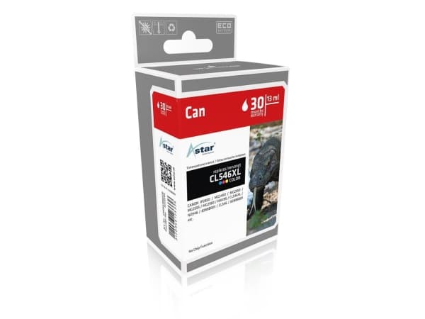 Astar AS15505, Pigmentbasert blekk, 300 sider