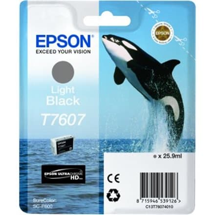 Epson inkoustová náplň/ C13T76074010/ Light black
