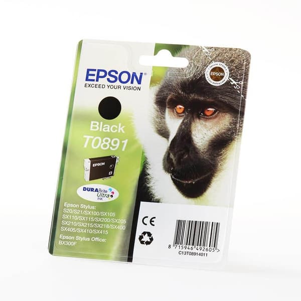 Epson Bläck C13T08914011 T0891 Svart, Apa