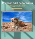Miniatyrbild 5 av 6: Kompatibla Epson 603 XL bläckpatroner för Epson XP-3100 XP-4100 XP-2100 XP-2105 XP-3105 XP-4105 WF-2810 WF-2830 WF-2835 WF-28