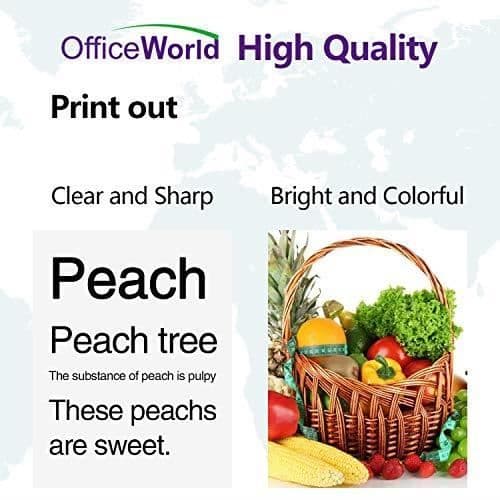 OfficeWorld 603 XL Multipack kompatibel bläckpatron för Epson 603 603XL med Epson Expression Home XP-2100 XP-2105 XP-3100 XP