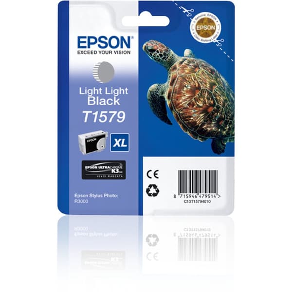 Original Bläckpatron Epson Stylus Photo R3000