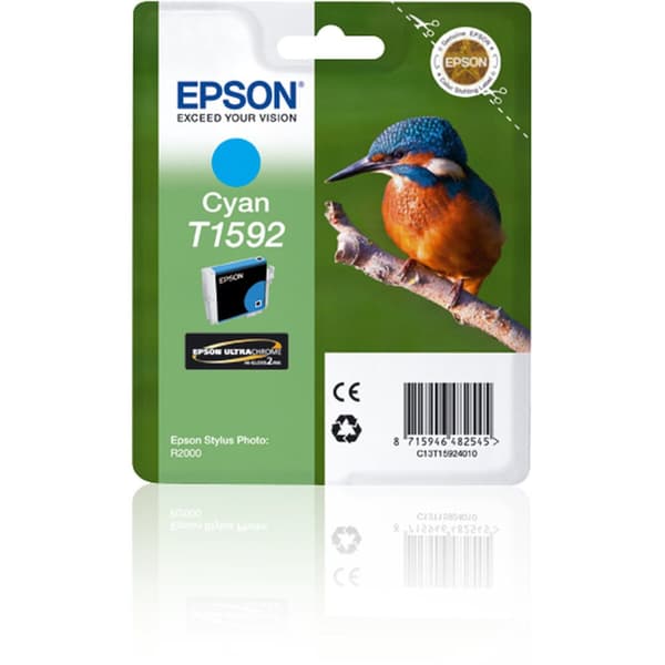 Original Bläckpatron Epson Stylus Photo R2000 Blå Turkos