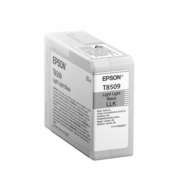 Alkunperäinen mustepatruuna Epson C13T850900