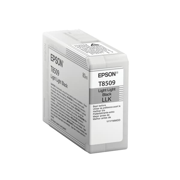 Alkunperäinen mustepatruuna Epson C13T850900
