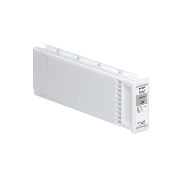 Original Bläckpatron Epson C13T800000 Grå Ljusgrå