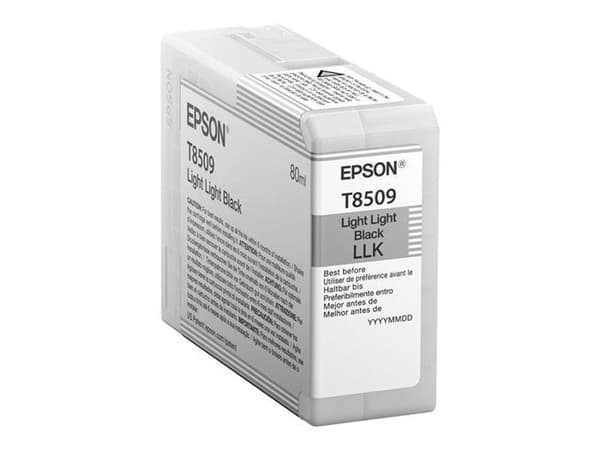 EPSON Cartridge T850900 - Svart - 80ml