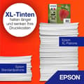 Miniatyrbild 2 av 2: EPSON Multipack T2986 - Jordgubb - Svart, Cyan, Magenta, Gul (C13T29864012)