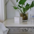 Miniatyrbillede 9 af 9: Toner Pantum