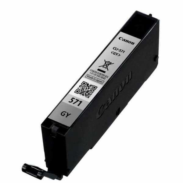 Originale Blekkpatroner Canon 2421U06 Grå