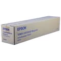 Pikkukuva 1 / 2: Väriaine Epson C13S050089 Magenta