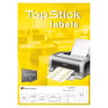 Miniatyrbild 3 av 3: TopStick 8699 -tryckstickers, 21-delad, 63,5 x 38,1 mm