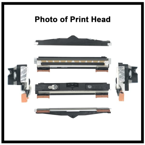 Termisk printhoved, 300 dpi, kompatibel med Zebra ZD420D og ZD620D