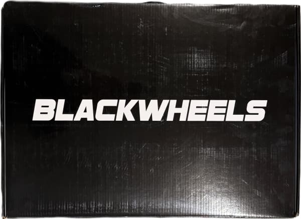 Blackwheels säädettävät rullat Flex Pro harmaa koko 35-38