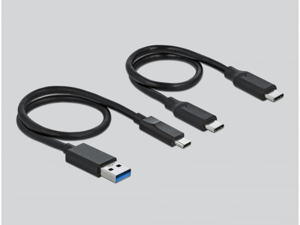 Delock M.2 Docking Station for M.2 NVMe PCIe SSD with USB Type-C™ female