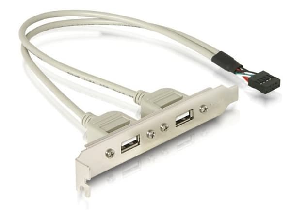 Delock Slot bracket 2 x USB 2.0 type A female external
