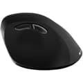 Miniatyrbild 3 av 6: CANYON mouse MW-16 Vertical Wireless Black