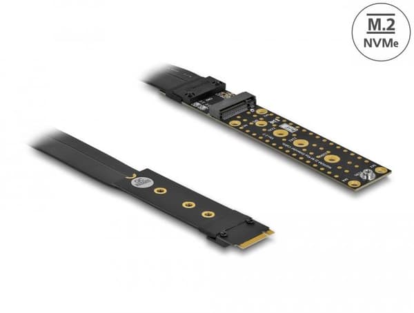 Delock Riser Card M.2 Key M Extension NVMe with 20 cm cable