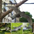 Miniatyrbild 5 av 7: Lollanda Fågelskrämma Falk – realistisk trädgårdsörn för att skrämma bort fåglar och skydda din trädgård