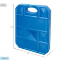 Miniatyrbilde 5 av 7: Kaldoppsamler Aktive Blå 2 Kg 22 x 27,5 x 4 cm (6 enheter)