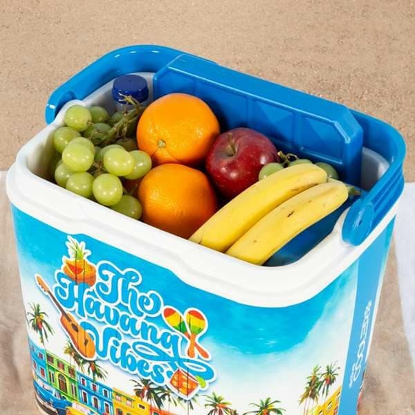Kannettava Jääkaappi Aktive The Havana Vibes 24 L