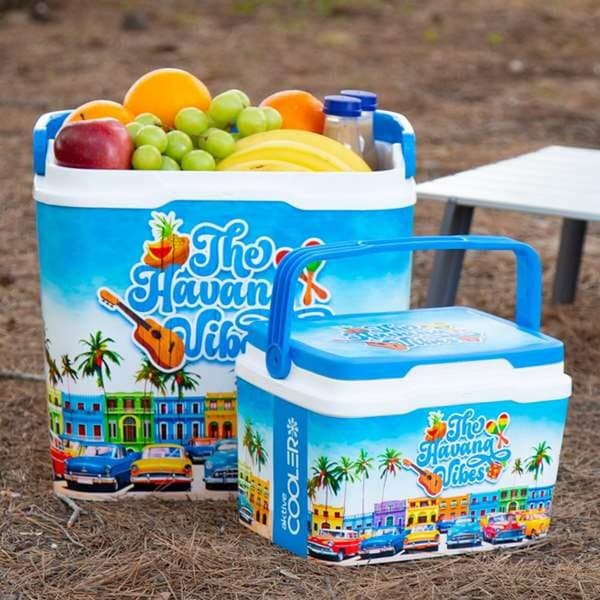 Kannettava Jääkaappi Aktive The Havana Vibes 24 L