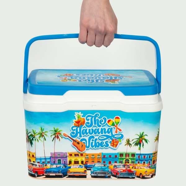 Kannettava Jääkaappi Aktive The Havana Vibes 5 L