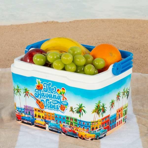 Kannettava Jääkaappi Aktive The Havana Vibes 5 L