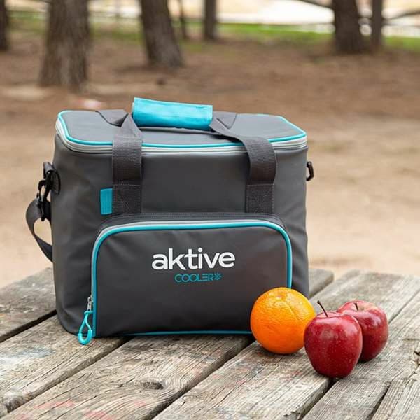 Kannettava Jääkaappi Aktive 20 L